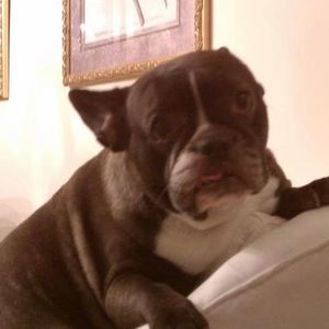 Meet your Posher, Pamela